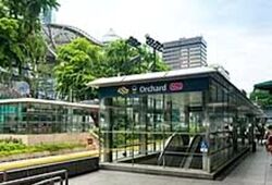 Lucky Plaza (D9), Shop House #464086141